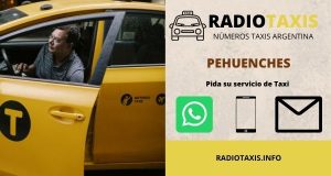numeros radio taxis pehuenches