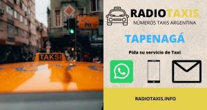 numeros radio taxis tapenagá