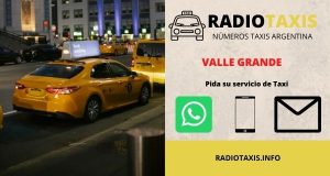numeros radio taxis valle grande