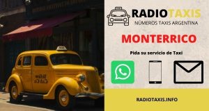 numeros radio taxis monterrico