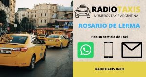 numeros radio taxis rosario de lerma