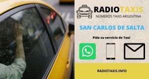 numeros radio taxis san carlos de salta