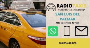 numeros radio taxis san luis del palmar