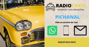 numeros radio taxis pichanal